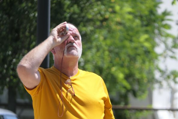 Faszakértői vizsgálat az abonyi piacon